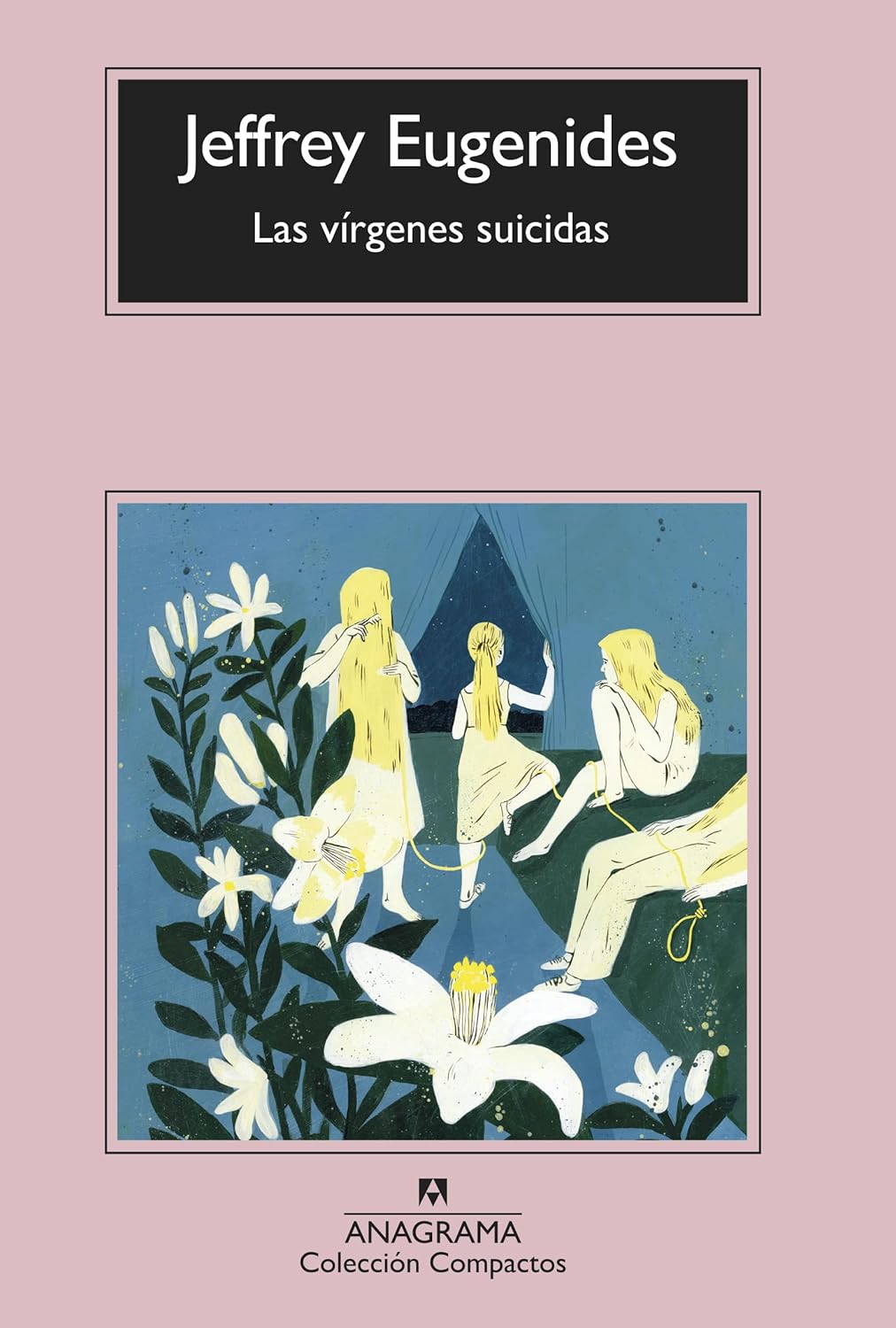 Cover of Vírgenes suicidas